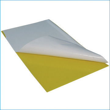 Fly Glue Board (24 Pcs/Pack)