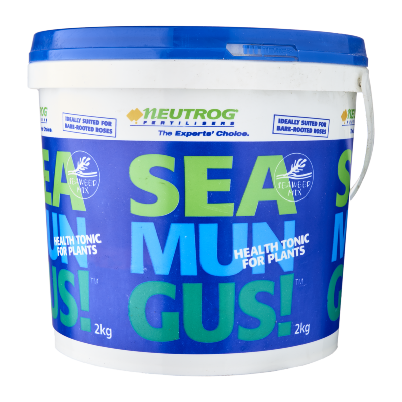 Sea Mungus (2 kg) – Wendell Trading Company